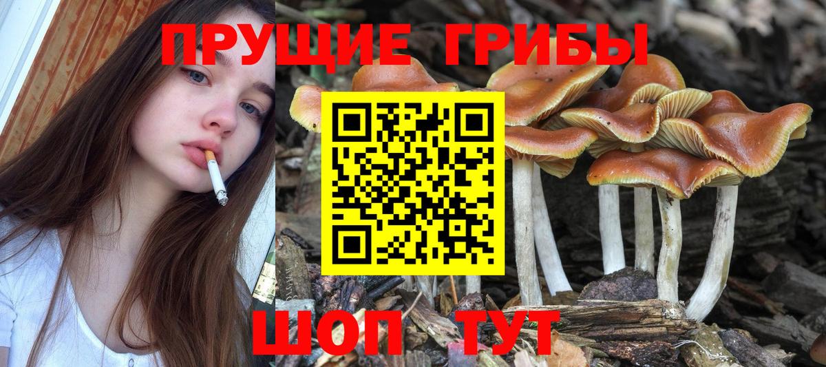 Псилоцибиновые грибы ЛСД  купить   Тулун  Вход с VPN 